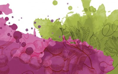 El Instituto Juan Gil-Albert presenta un nuevo ciclo para poner en valor la cultura del vino de la provincia de Alicante