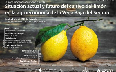 El Instituto Juan Gil-Albert organizada una jornada informativa sobre la agroeconomía en la Vega Baja